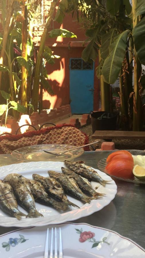 Dar El Pirata Hostel Asilah Eksteriør billede
